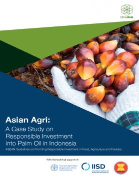 Is palm oil good for you? - Asian Agri